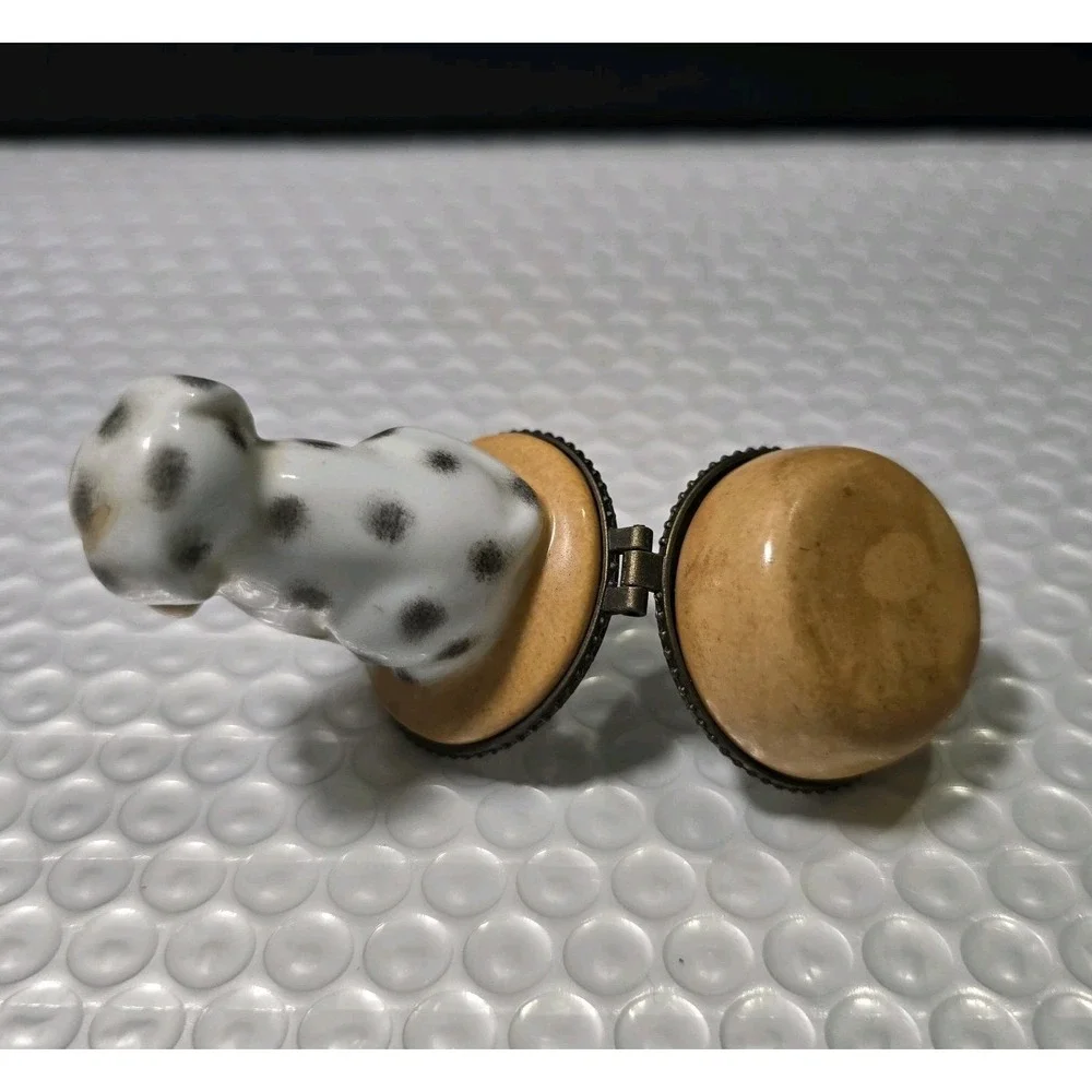 N/A this dalmatian